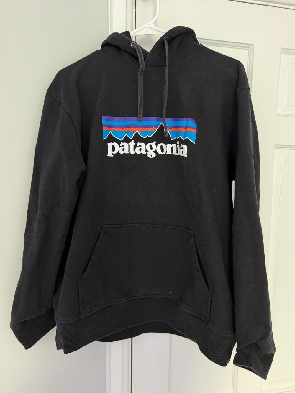 Patagonia Black Hoodie with Multicolor Mountain Logo